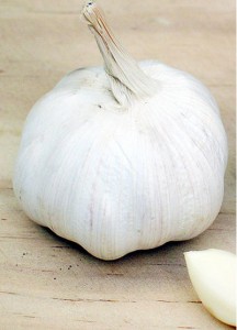 knoblauch